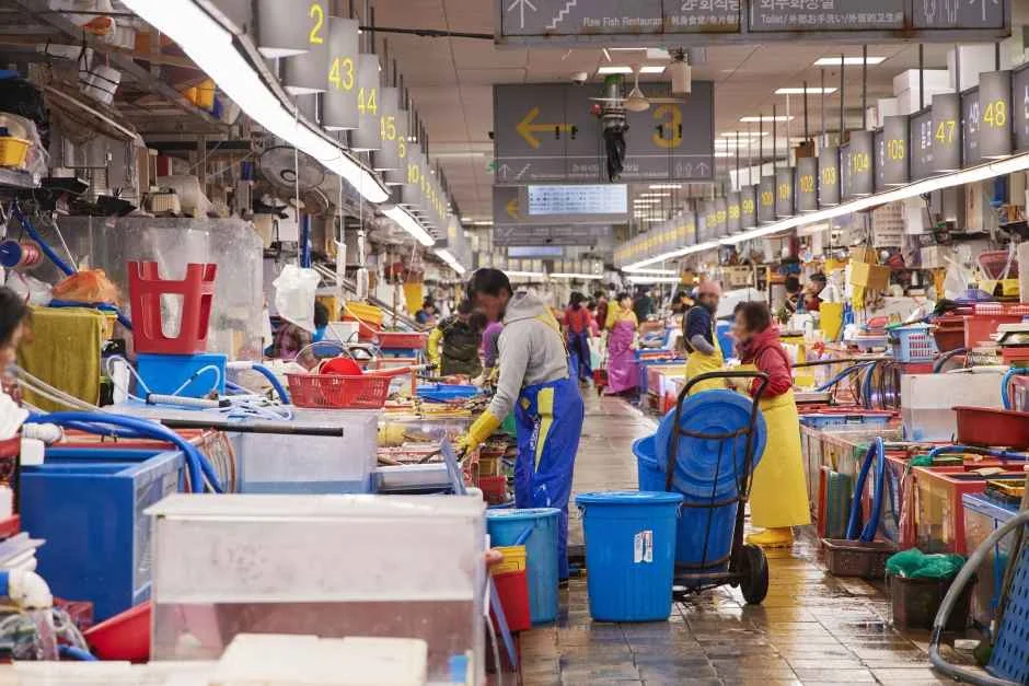 Market activity at Jagalchi