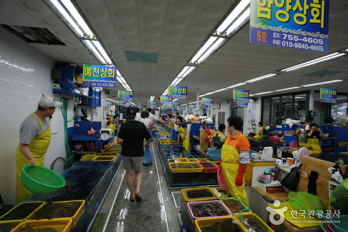 Millak Hoe Center near the Gwangalli waterfront