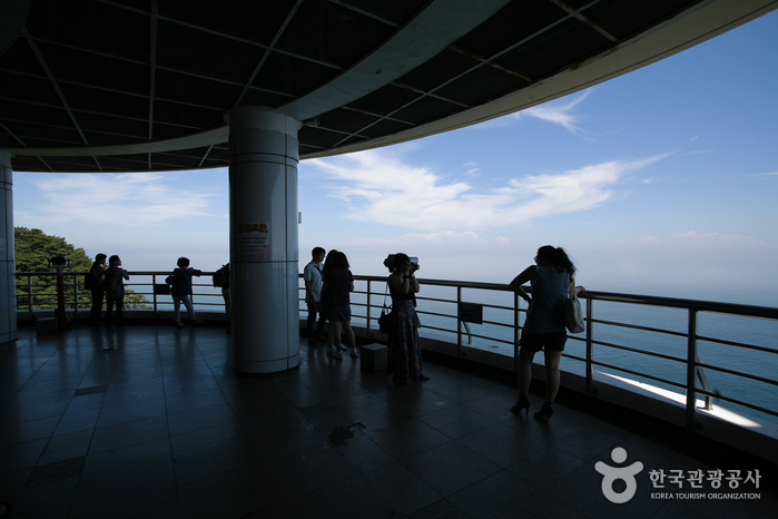 Observation area at Taejongdae