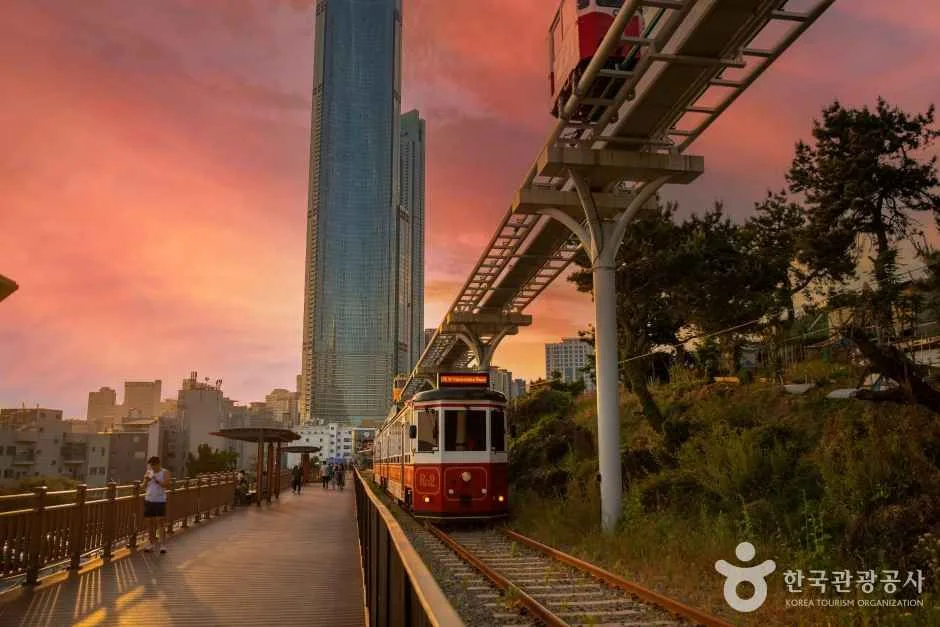 Train and coastal track at Blueline Park